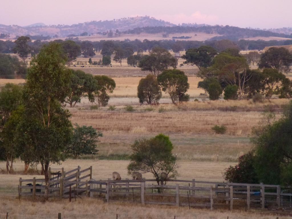 La Maison St Arnaud Rutherglen Eksteriør bilde